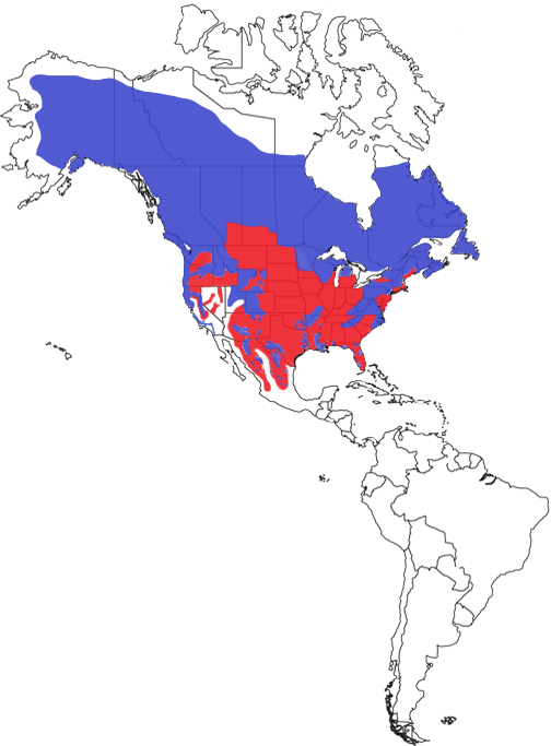 American Black Bear Species Range Map