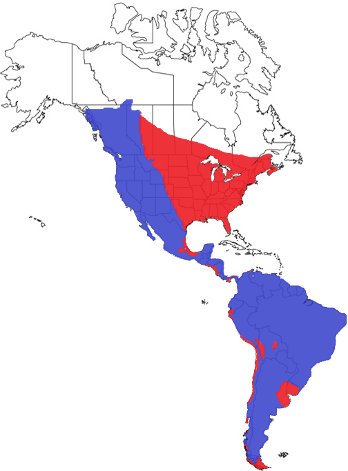 Cougar Species Range Map