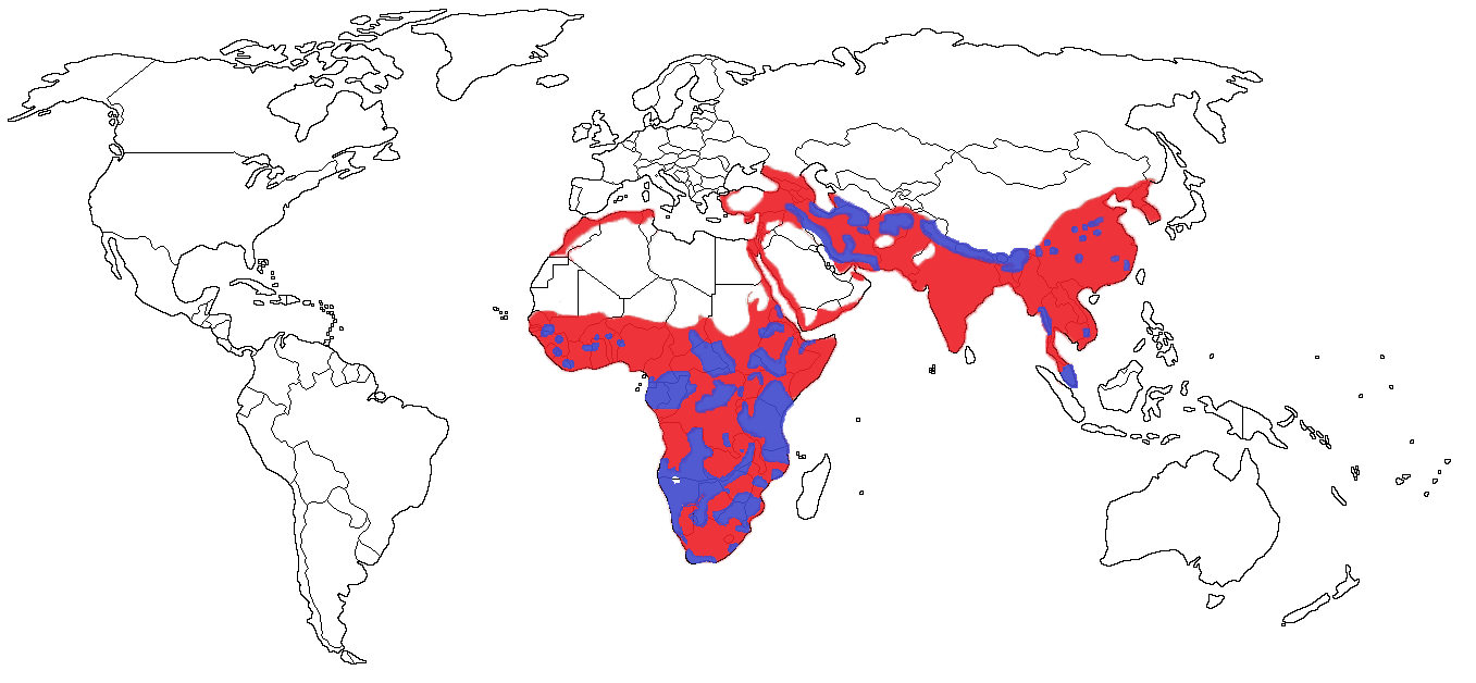 Leopard Species Range Map