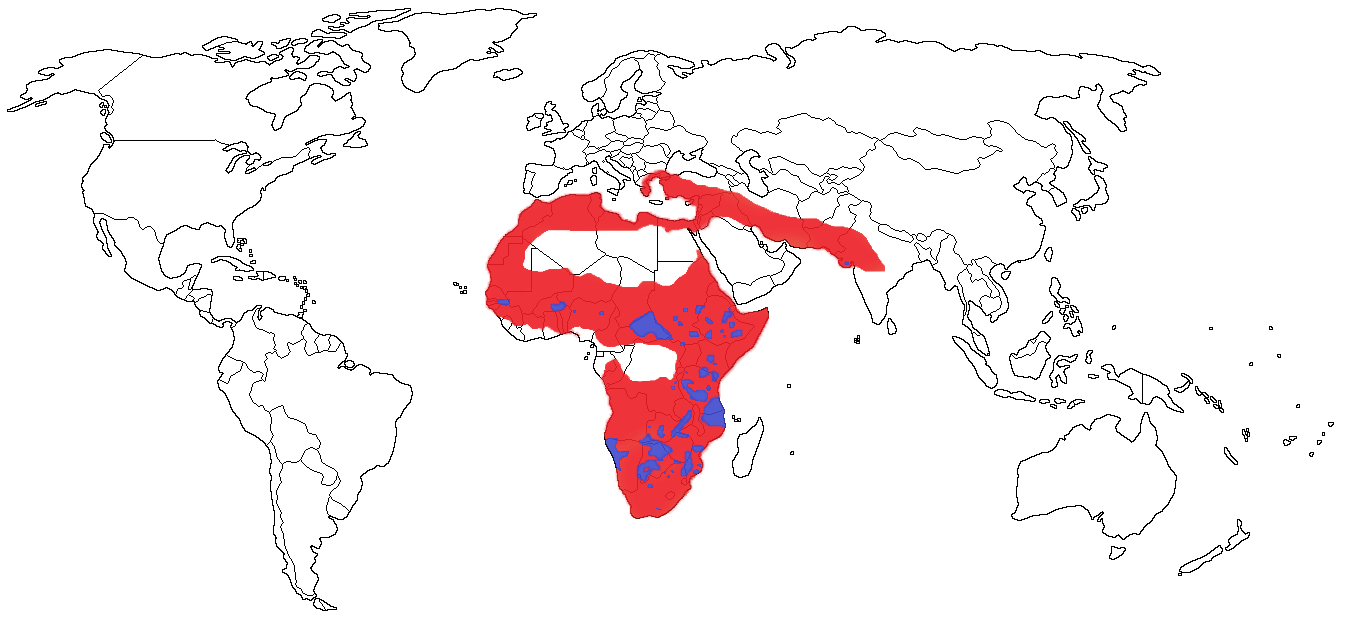 Lion Species Range