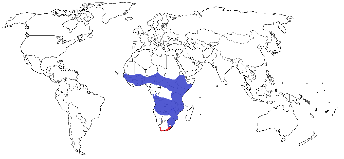 Serval Species Range Map