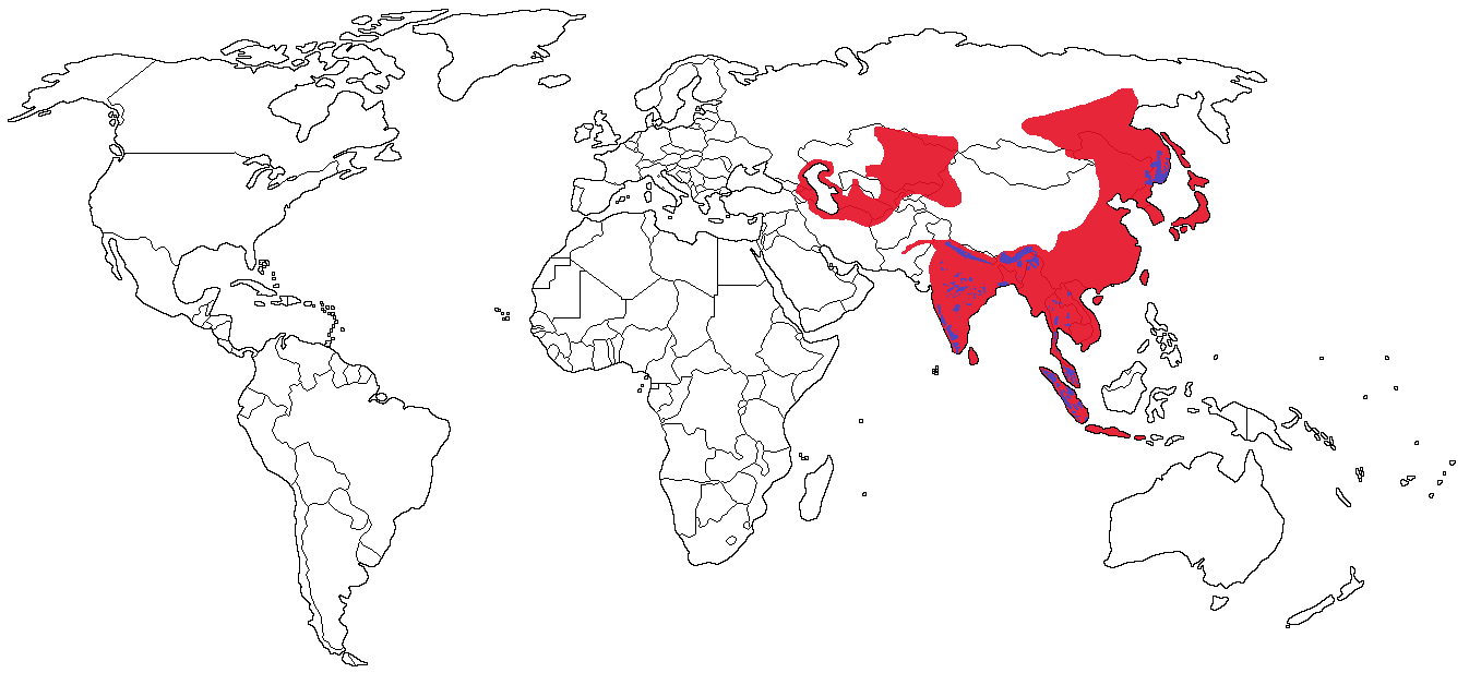 Tiger Species Range Map